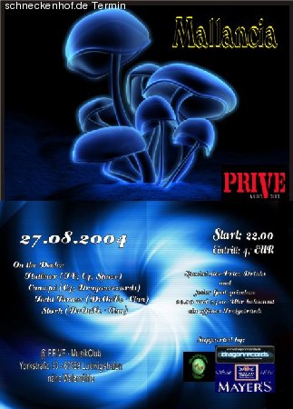 Mallancia Werbeplakat