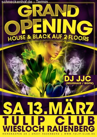 Grand Opening: The New Saturday Werbeplakat