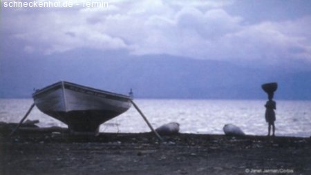 Filmabend: Profit, nichts als Profit Werbeplakat