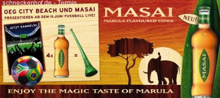 Fussball WM ::Live:: Werbeplakat