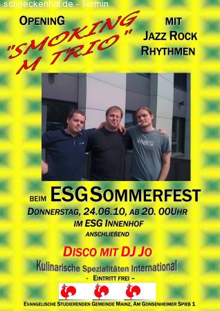 Sommerfest Werbeplakat