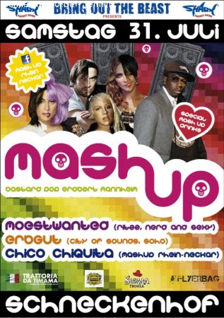 1. MashUp Rhein-Neckar OpenAir Werbeplakat