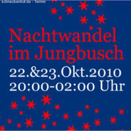 Nachtwandel 2010 Werbeplakat