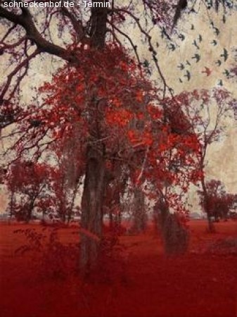 Bloody Rooots Werbeplakat