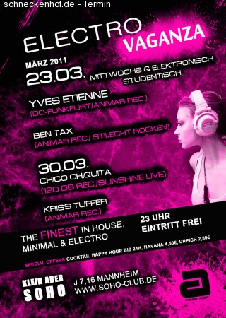 Electrovaganza Werbeplakat