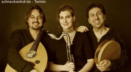 Ensemble FisFüz Werbeplakat