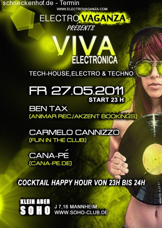 Viva Electronica Werbeplakat