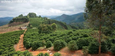 2. Mannheimer Kaffee Nacht Werbeplakat