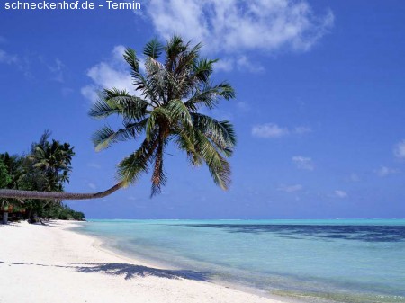 Sunshineparty in Dierbach Werbeplakat