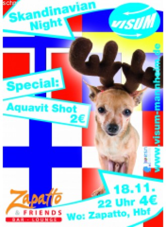 VISUM Scandinavian Night Werbeplakat