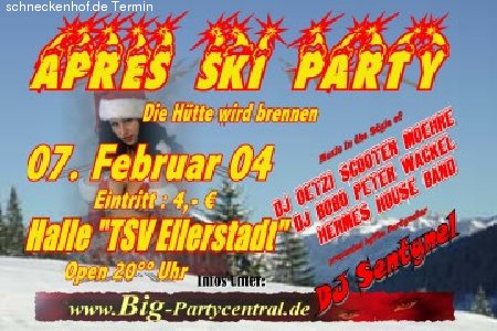 Apres Ski Party Werbeplakat