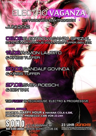 Electrovaganza Sommer Spezial Werbeplakat