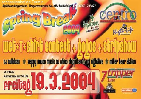 Spring Break Party Werbeplakat