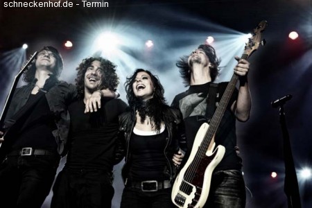 Silbermond Werbeplakat