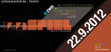 Triebspiel Werbeplakat