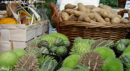 Handwerker- und Bauernmarkt Werbeplakat