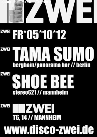 Stereo621 & Any Given Friday Werbeplakat