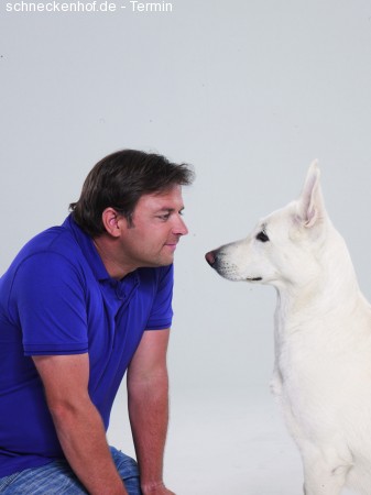 Martin Rütter Werbeplakat