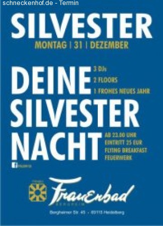 Deine Silvester Nacht Werbeplakat