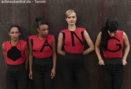 Laing - Tour 2013 Werbeplakat