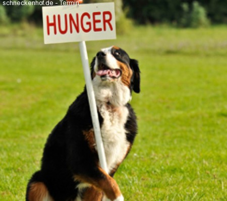 Holger Schüler Werbeplakat