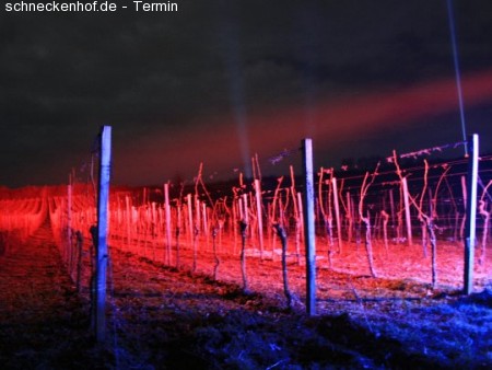 Bad Dürkheimer Weinbergnacht Werbeplakat