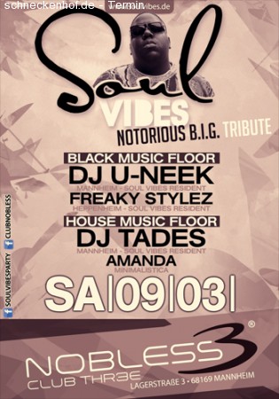 Notorius B.I.G. / Soul Vibes Werbeplakat