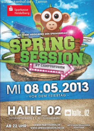 SPRINGSESSION Werbeplakat