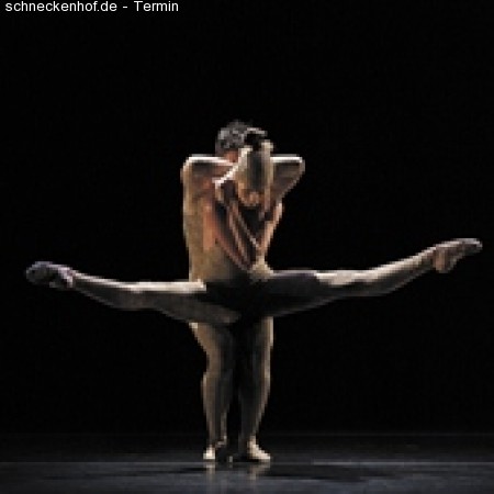 Companhia De Dança Saõ Paulo Werbeplakat