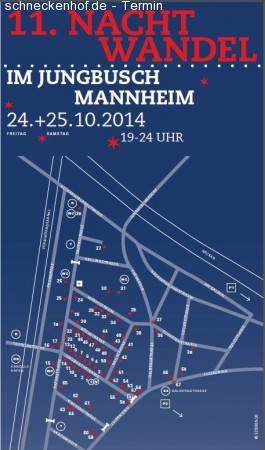 11. Nachtwandel 2014 Werbeplakat